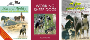 Sheepdog training books and DVD videos for sale