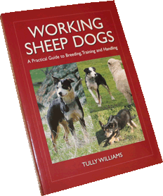 workingsheepdogs-book-cover