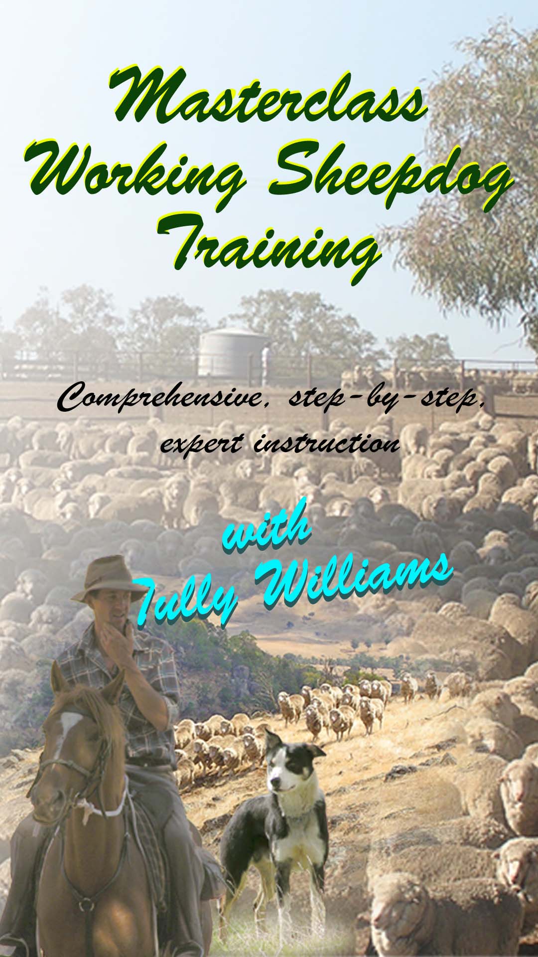 Working Sheepdog Training Masterclass videos header image