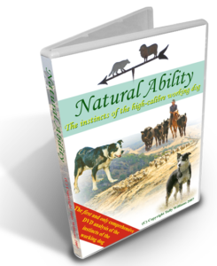 Natural Ability Sheepdog Instincts DVD
