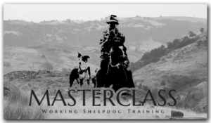 Masterclass Sheepdog Training Videos