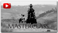 Masterclass Sheepdog Training Video