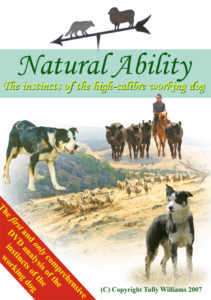 Natural ability sheepdog instincts dvd
