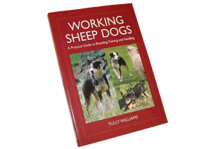 Working Sheep Dogs by Tully Williams cover image